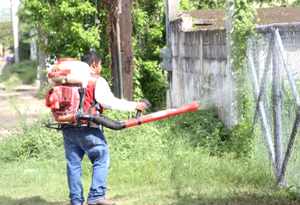 Reporta Salud Federal 84 casos de Dengue en Tamaulipas, y ninguno de zika o chinkunguya
