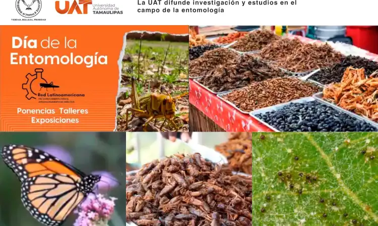 La UAT difunde su investigación y estudios en el campo de la entomología
