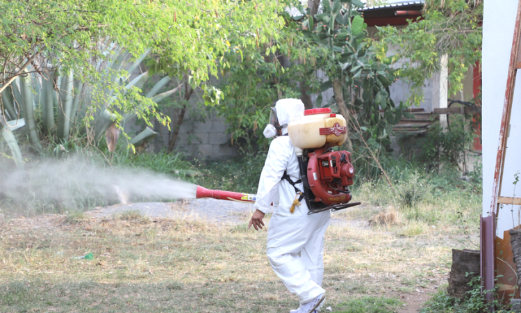 Piden reforzar promoción a la salud para sensibilizar a la población sobre riesgo de dengue