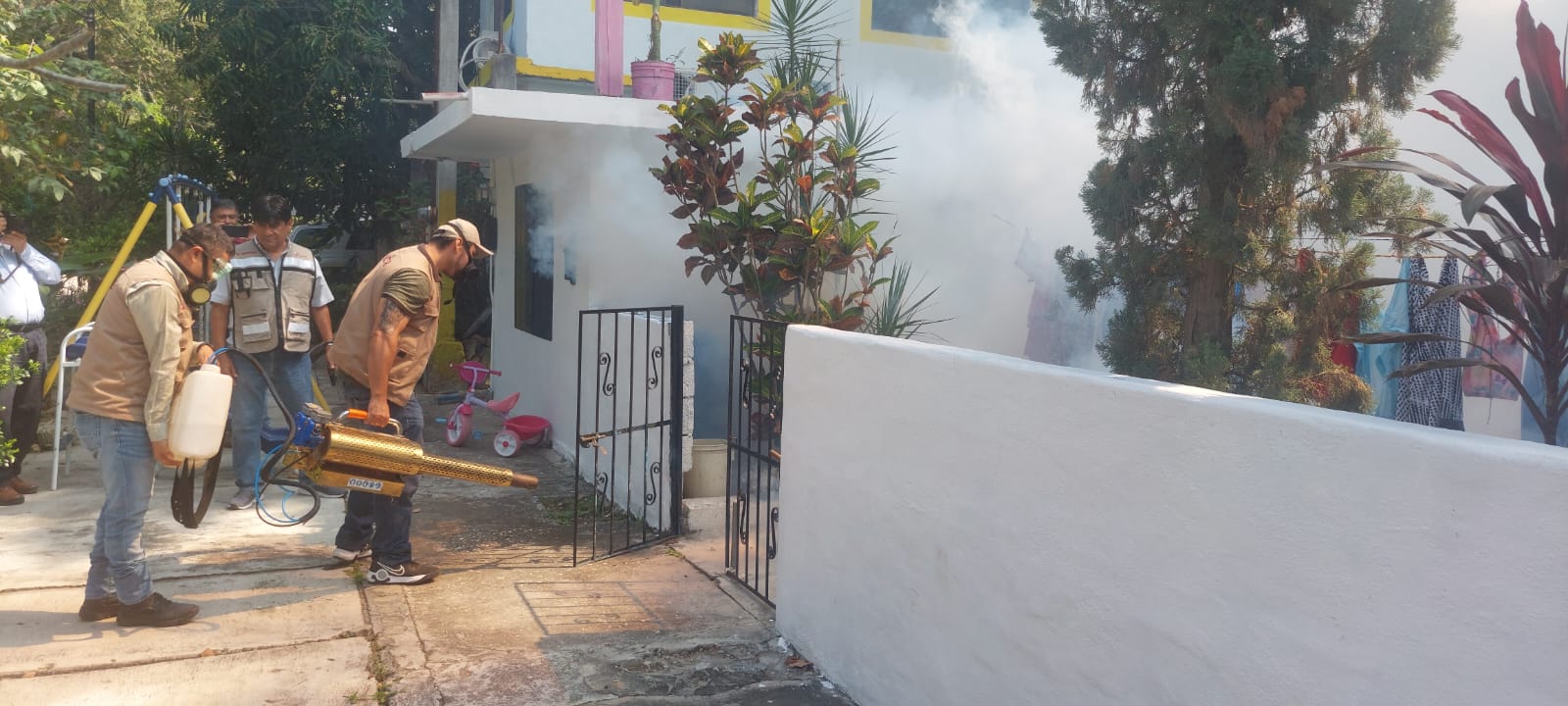 Refuerza SST campaña intensiva contra el dengue  en Tamaulipas