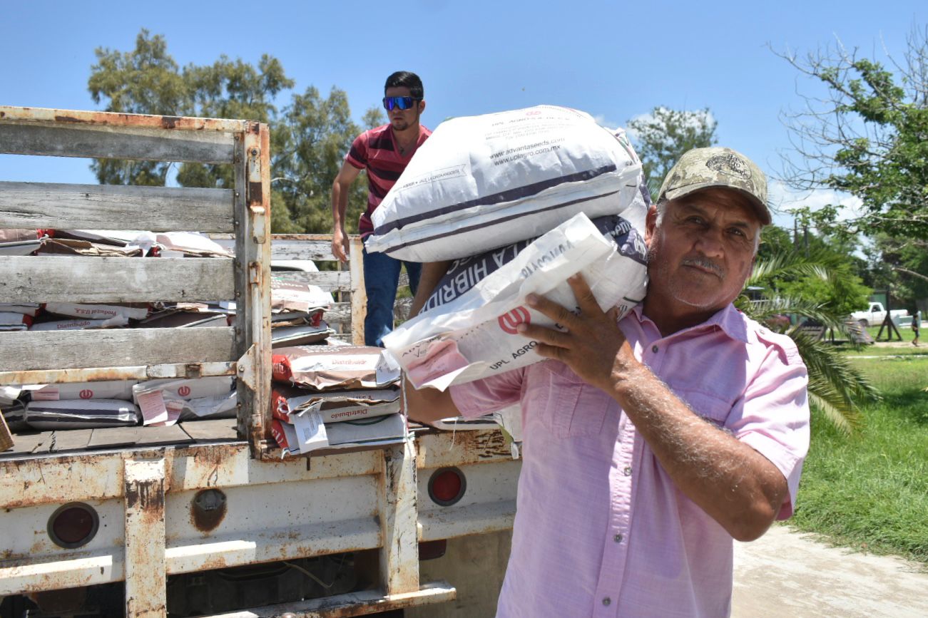 Reciben productores agrícolas de Soto la Marina  semilla de sorgo y maíz