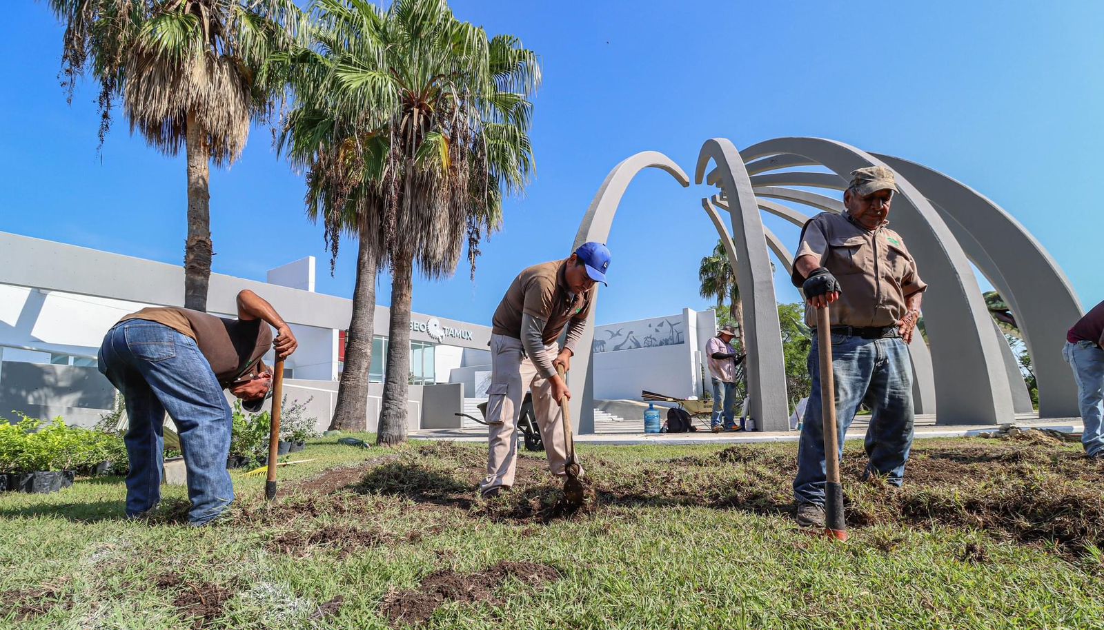 Transforma la Comisión de Parques al Museo  Tamux en jardín polinizador