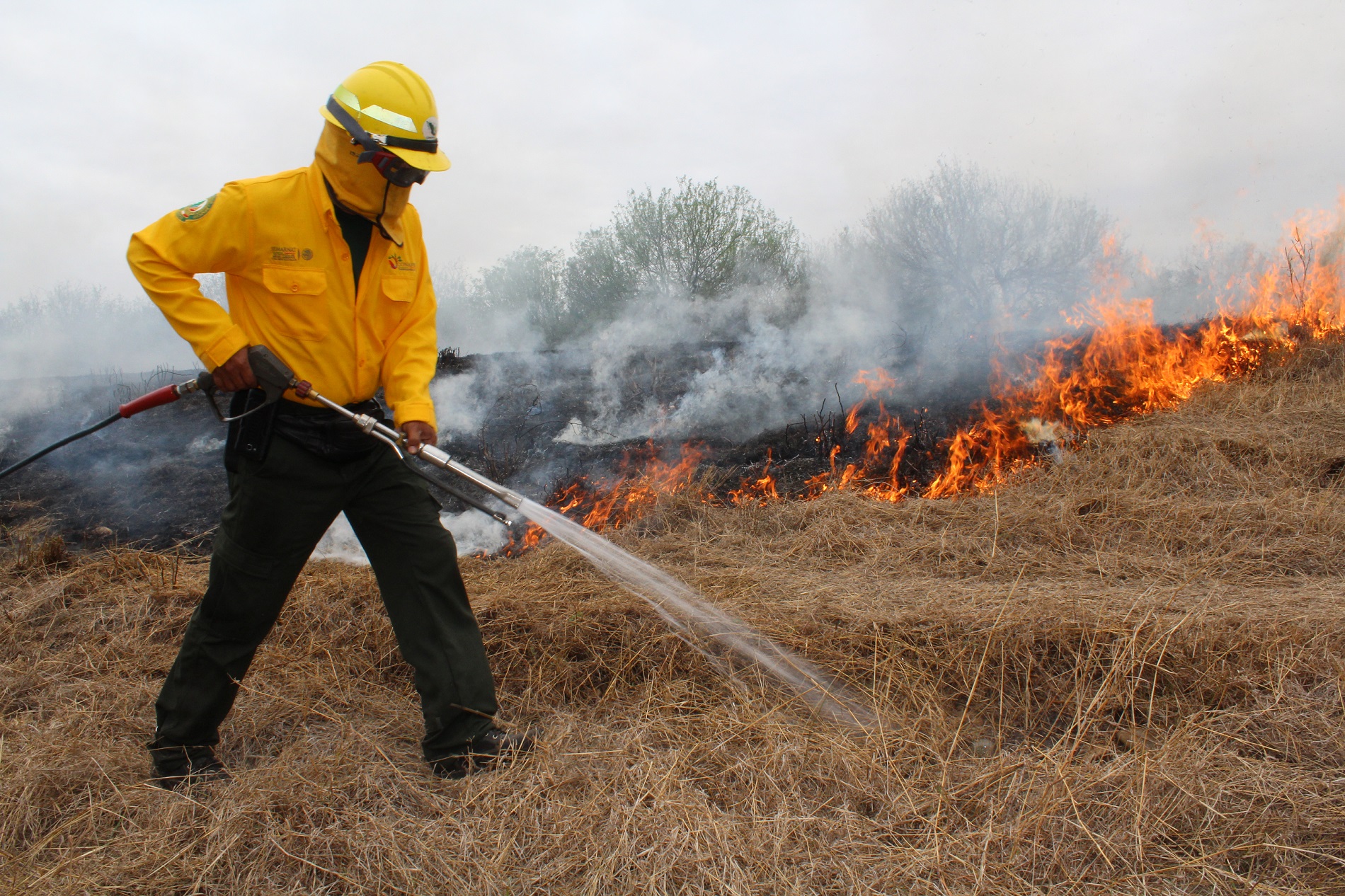Piden 10 años de prisión a quienes provoquen incendios forestales en Tamaulipas