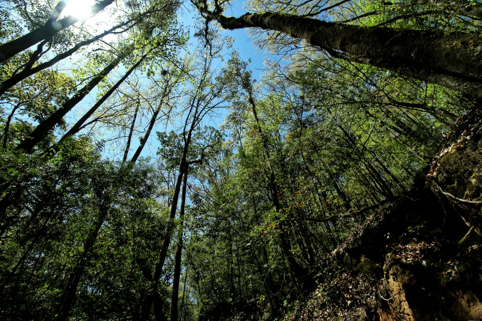 Reafirman compromiso por la biodiversidad en El Cielo
