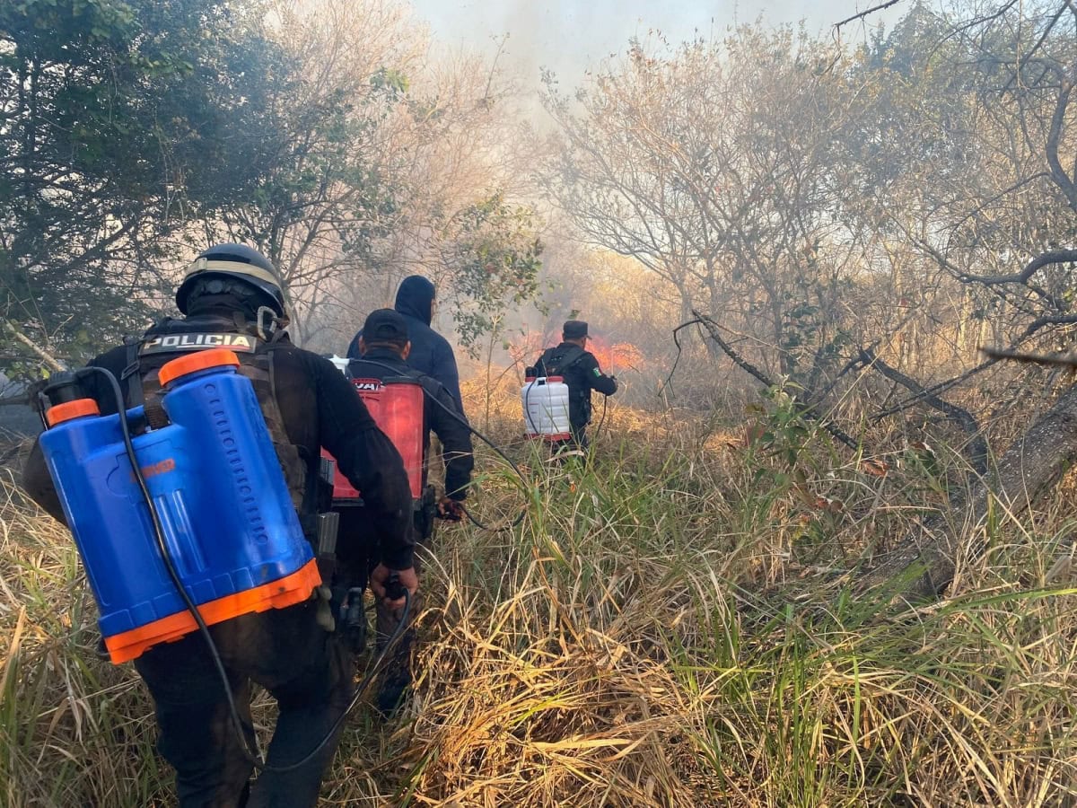 Incendios forestales calcinan a más de 6 mil hectáreas.