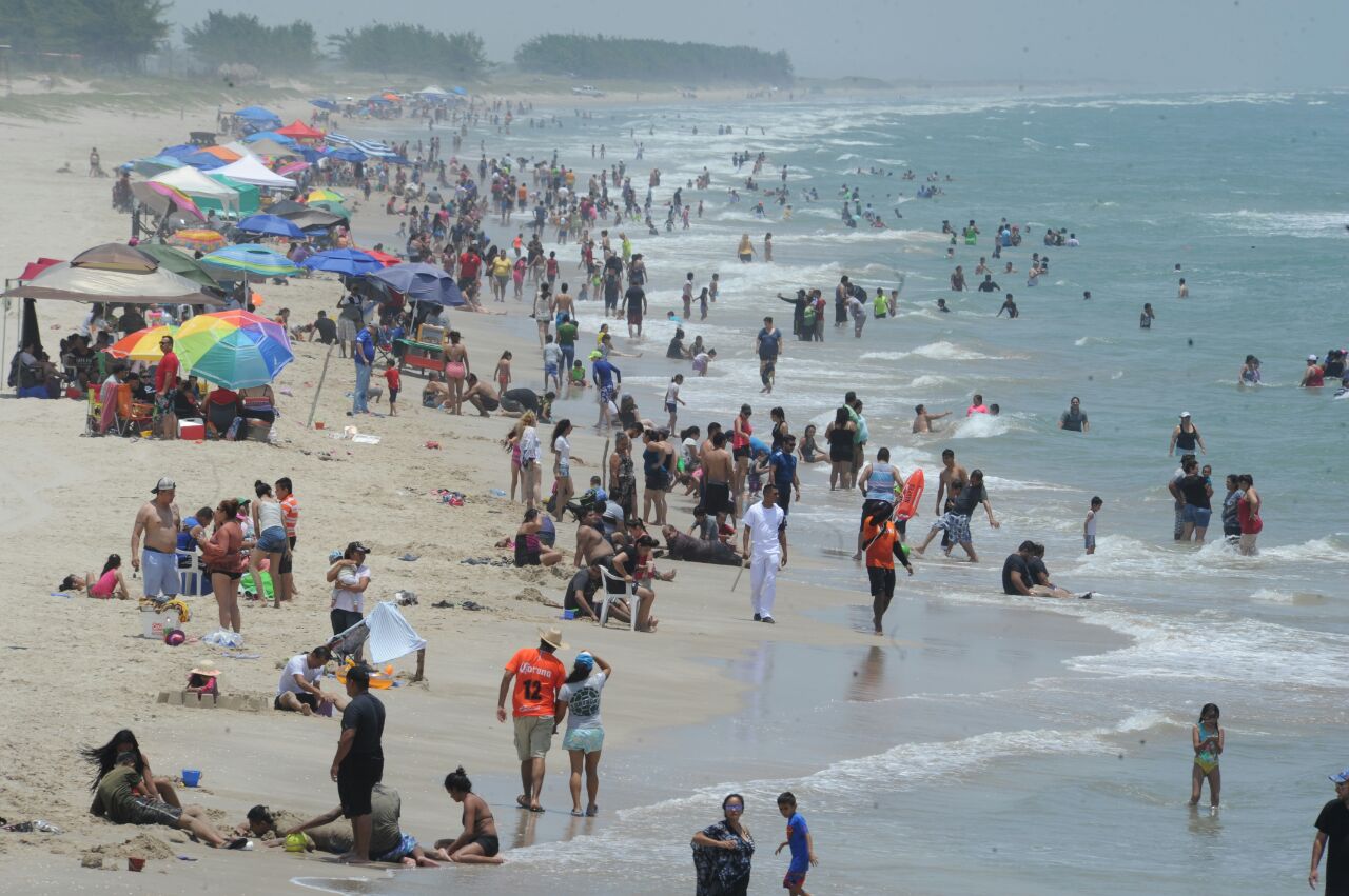 Piden a turistas cuidar llegada de tortugas en las playas de Tamaulipas