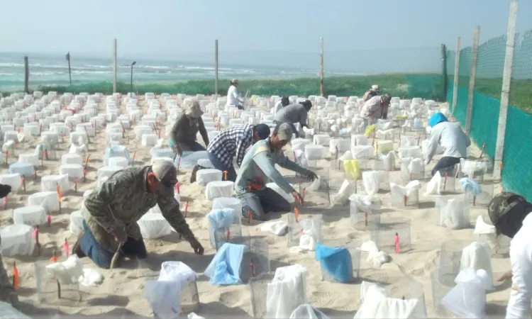 Busca el gobierno voluntarios ecológicos para dos zonas naturales de Tamaulipas