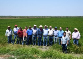 Supervisa secretario de Desarrollo Rural siembra de arroz