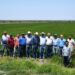 Supervisa secretario de Desarrollo Rural siembra de arroz