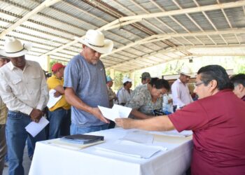 Abre Gobierno del Estado ventanillas para el registro de semilla de calidad
