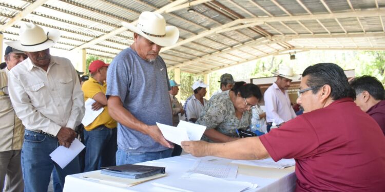 Abre Gobierno del Estado ventanillas para el registro de semilla de calidad
