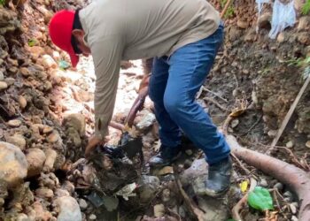 COMAPA Victoria refuerza limpieza de drenes y rejillas pluviales para prevenir taponamientos durante lluvias