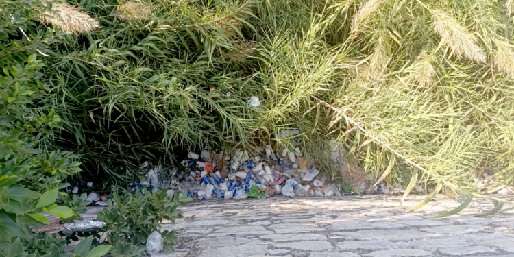 Contaminan al Río San Marcos en su paso por Ciudad Victoria