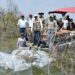 Siembran lobinas en la presa Vicente Guerrero para impulsar la pesca deportiva