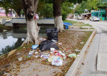 Tamaulipas enfrenta diversos retos ambientales