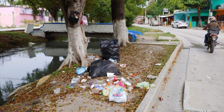 Tamaulipas enfrenta diversos retos ambientales