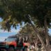 Es Tamaulipas líder nacional en turismo cinegético y pesca deportiva: Sectur