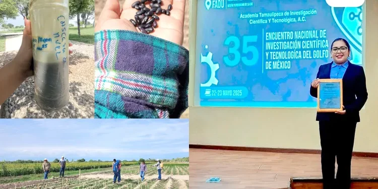 Elabora estudiante de la UAT bioherbicida para cultivos de frijol