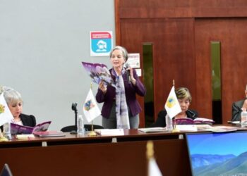 Lazos del Bienestar del DIF Tamaulipas es referente nacional en atención a grupos prioritarios