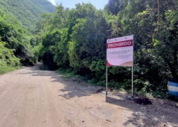 Coordinan estrategia de protección ecológica en Altas Cumbres y Los Troncones