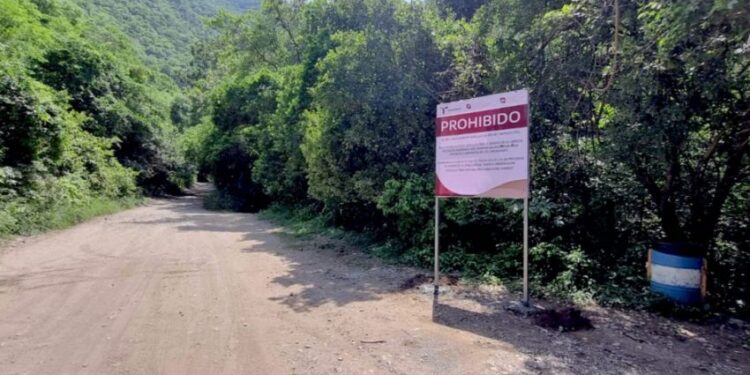 Coordinan estrategia de protección ecológica en Altas Cumbres y Los Troncones