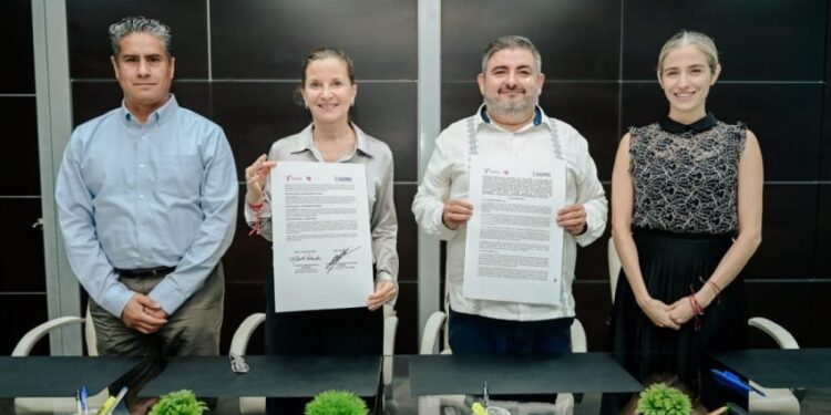 Economía y CCMX fortalecerán competitividad de MiPyMEs tamaulipecas