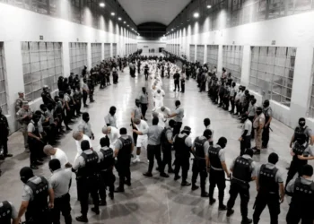 «Le tengo miedo a EE.UU.»: venezolanos deport»Le tengo miedo a EE.UU.»: venezolanos deportados describen condiciones de «tortura» en el Cecotados describen condiciones de «tortura» en el Cecot