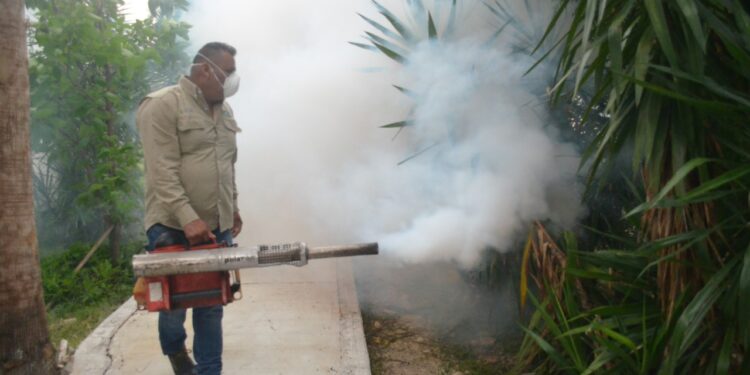 Tamaulipas está libre de zika y chinkungunya, pero repunta el dengue