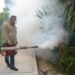 Tamaulipas está libre de zika y chinkungunya, pero repunta el dengue