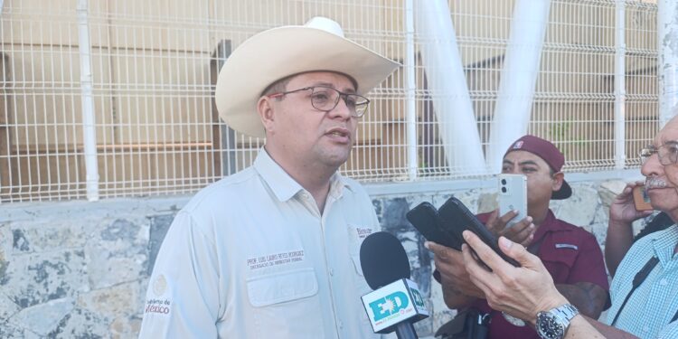 Derrama por programas sociales en Tamaulipas sumará 19 mil millones de pesos