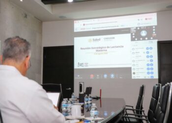 Lactancia materna; prioridad de salud pública: SST
