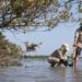 Protege Tamaulipas sus manglares frente a amenazas del cambio climático
