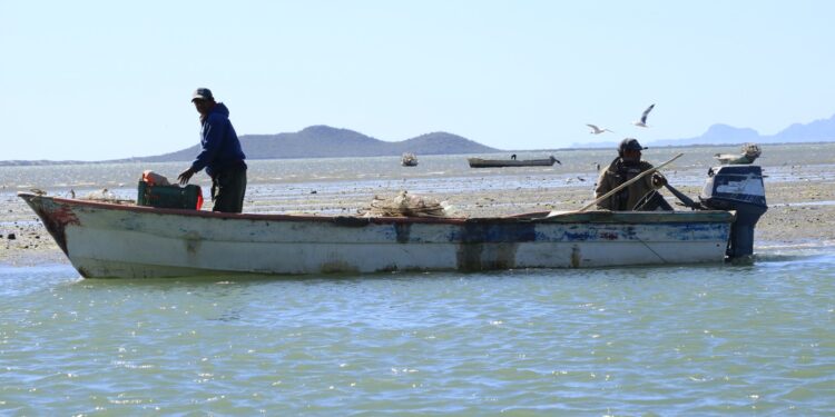 Sigue la investigación por supuesto impacto de SpaceX en pesca tamaulipeca