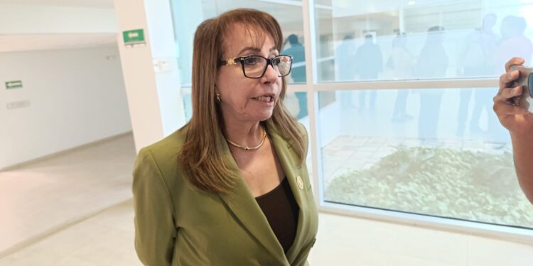 Diputada pide cuentas por manejo de  basura electrónica en Tamaulipas