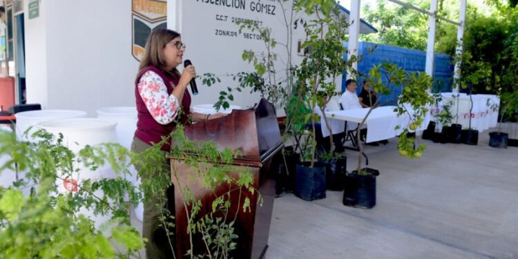 Transforma SEDUMA espacios escolares  como parte de la Agenda Ambiental