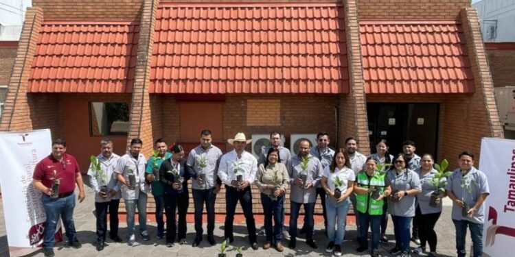 Entrega Secretaría de Desarrollo Rural de Tamaulipas 300 plantas para reforestación de áreas verdes