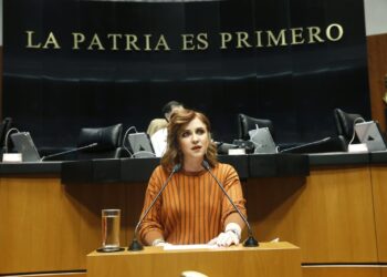 Ley de Aduanas perjudicará  a agentes adanuales de Tamaulipas: Imelda Sanmiguel