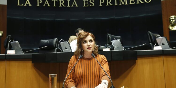 Ley de Aduanas perjudicará  a agentes adanuales de Tamaulipas: Imelda Sanmiguel