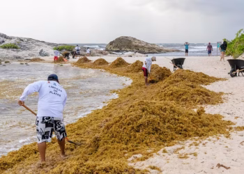 De la incertidumbre económica en EE.UU. a la inseguridad y el sargazo, Tulum encara desafíos a su atractivo turístico
