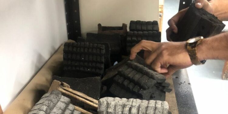 Impulsa Museo Tamux refugios para insectos y jardines polinizadores