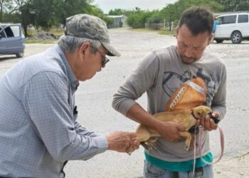 Realiza SST campaña preventiva para la detección de rickettsiosis