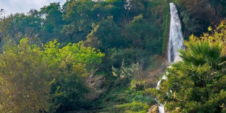 Crecerá afluencia y derrama con la Virgen de la Misericordia en Hidalgo