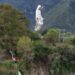 Prevé Sectur récord de visitantes por la Virgen de la Misericordia