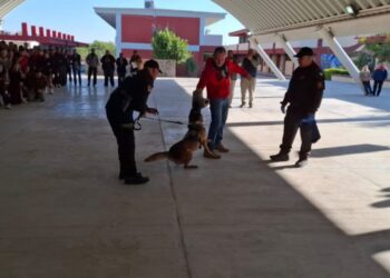 Guardia Estatal refuerza seguridad escolar con binomio canino