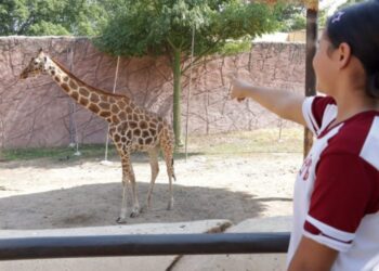 Ofrece Comisión de Parques Zoo Visitas