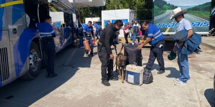 Guardia Estatal refuerza vigilancia con binomios caninos en la Central de Autobuses de Victoria
