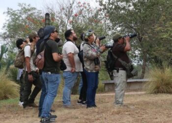 Reúne TAMUX a familias y estudiantes en experiencia de avistamiento de aves
