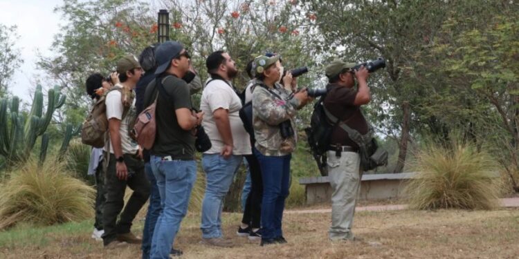 Reúne TAMUX a familias y estudiantes en experiencia de avistamiento de aves