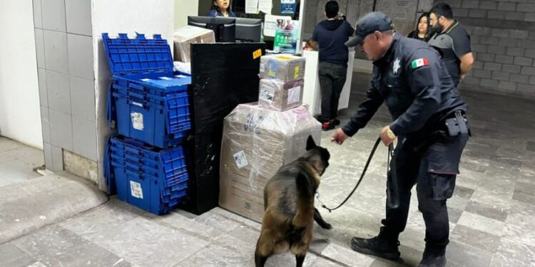 Realiza Agrupamiento Canino de la Guardia Estatal operativo para detectar narcóticos en Central de Autobuses