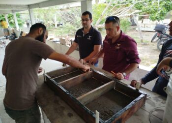 Fortalece Gobierno de Tamaulipas desarrollo acuícola en el litoral tamaulipeco